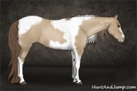Horse Color:Grullo Pearl Tobiano Frame 