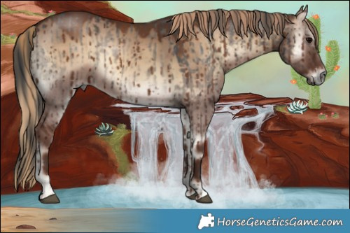 Horse Color:Grullo Onyx Brindle and Red Dun Onyx Brindle