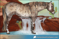 Horse Color:Grullo Onyx Brindle and Red Dun Onyx Brindle