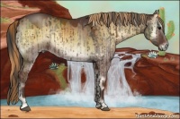 Horse Color:Grullo Onyx and Red Dun Onyx