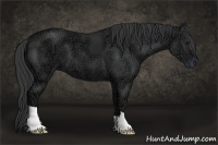 Horse Color:Black Ice 