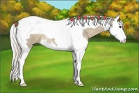 Horse Color:Silver Smoky Grullo Roan Splash Tobiano 