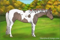 Horse Color:Silver Blue Roan Tobiano 