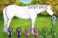 Horse Color:Gray Bay Roan Dun Splash 