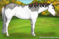 Horse Color:Smoky Grullo Roan Splash 