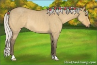 Horse Color:Silver Buckskin Roan Dun Rabicano 