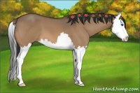 Horse Color:Bay Roan Dun Splash 