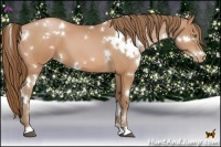 Horse Color:White Spotted Bay Pearl 