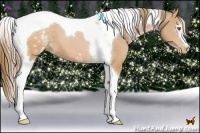 Horse Color:White Spotted Brown Pearl Tobiano