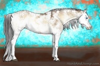 Horse Color:Buckskin Onyx Sabino Splash