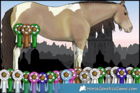 Horse Color:Classic Champagne Tobiano