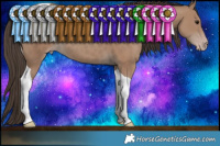 Horse Color:Classic Champagne Tobiano 