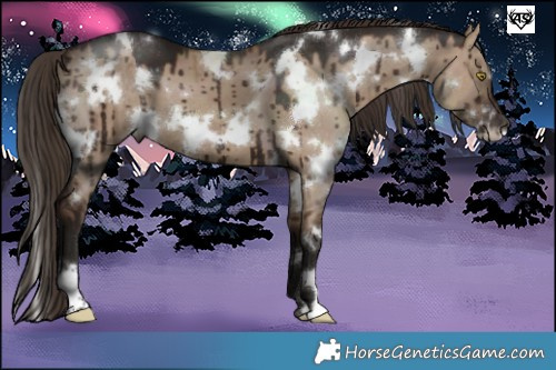 Horse Color:White Spotted Liver Red Dun Brindle 