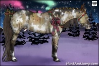 Horse Color:White Spotted Liver Red Dun 