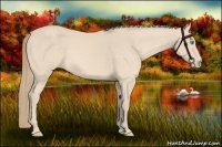 Horse Color:Perlino 
