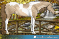 Horse Color:Brown Snowdrop Tobiano 