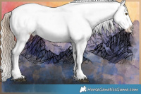 Horse Color:Chocolate Palomino Onyx Frame Appaloosa