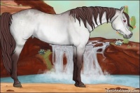 Horse Color:Chocolate Bay Chinchilla Dun 
