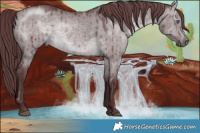 Horse Color:Chocolate Brown Chinchilla Dun Brindle
