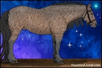 Horse Color:Buckskin Ice