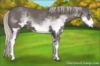 Horse Color:White Spotted Silver Black Frame 