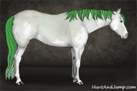 Horse Color:Watercolor Buckskin Dun Splash
