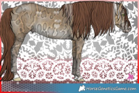 Horse Color:Chocolate Sable Cream Champagne Ice 