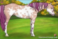 Horse Color:Watercolor Red Dun Sabino Frame Rabicano 