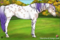 Horse Color:Watercolor Buckskin Dun Sabino Tobiano Frame 