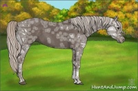 Horse Color:Silver Black Ice 