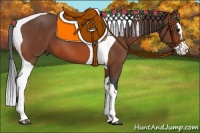 Horse Color:Bay Splash Tobiano