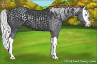 Horse Color:Silver Black Chinchilla Sabino Splash