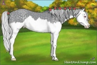 Horse Color:Silver Grullo Chinchilla Sabino Splash