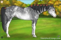 Horse Color:White Spotted Brown Chinchilla Rabicano 