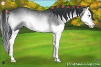 Horse Color:Brown Chinchilla Onyx Splash 