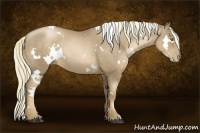 Horse Color:White Spotted Liver Chestnut Pearl Rabicano 