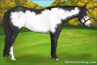 Horse Color:Brown Frame 