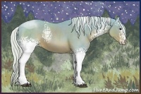 Horse Color:Watercolor White Spotted Silver Brown Sabino 