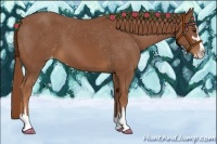Horse Color:Chestnut Sabino Appaloosa