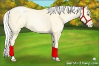 Horse Color:Silver Buckskin Pearl Dun 