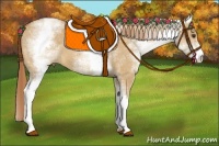 Horse Color:White Spotted Red Dun 