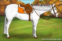 Horse Color:White Spotted Bay Dun Splash 