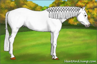 Horse Color:Gray Bay Roan Splash