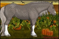 Horse Color:Silver Black 
