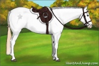 Horse Color:Buckskin Varnish 