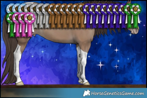 Horse Color:Classic Champagne Tobiano 