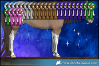 Horse Color:Classic Champagne Tobiano 