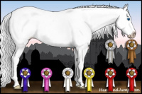 Horse Color:Gray Smoky Creme Roan Sabino Splash Appaloosa Rabicano