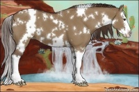 Horse Color:White Spotted Liver Red Dun Splash