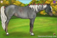 Horse Color:Liver Red Roan 